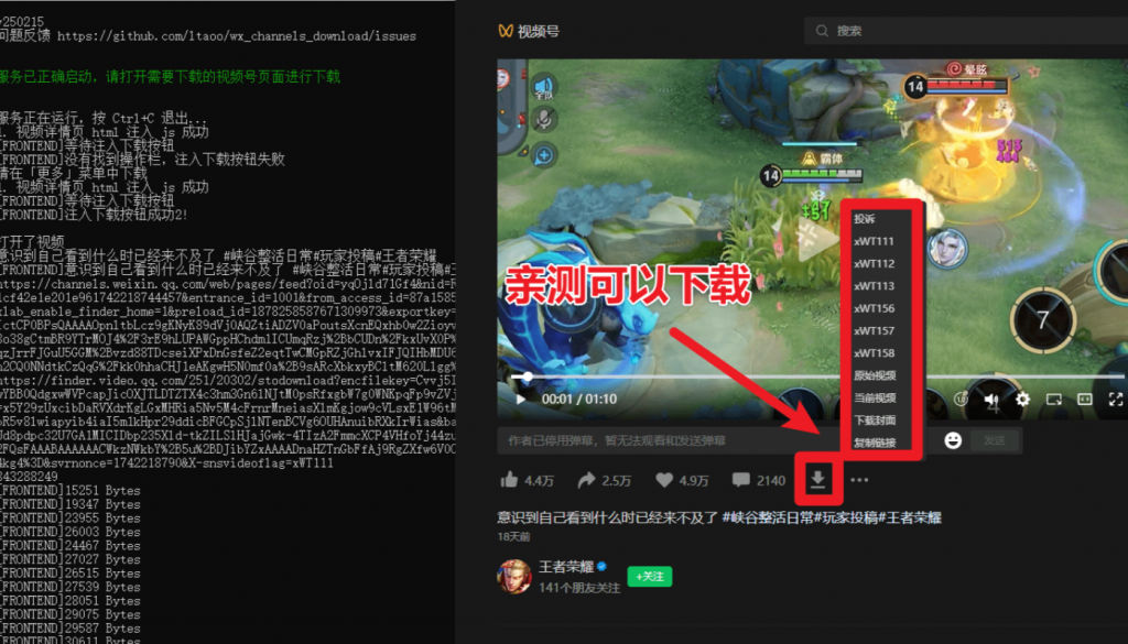 图片[4]-2025最新版本视频号下载器！支持直播回放下载，使用超简单，一键下载为MP4格式
