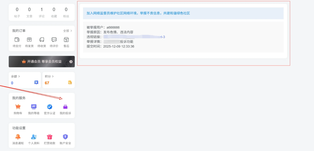 图片[1]-子比主题 – 用户中心我的投诉页面（三款）-龙龙资源网・免费PHP网站源码模板,插件软件资源分享平台！