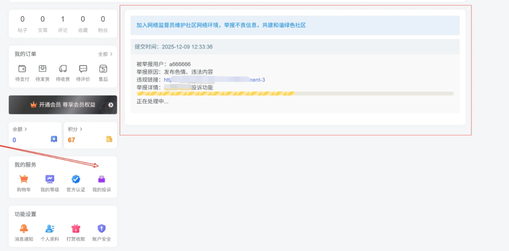图片[2]-子比主题 – 用户中心我的投诉页面（三款）-龙龙资源网・免费PHP网站源码模板,插件软件资源分享平台！