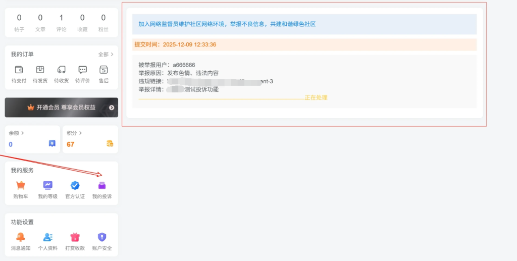 图片[3]-子比主题 – 用户中心我的投诉页面（三款）-龙龙资源网・免费PHP网站源码模板,插件软件资源分享平台！