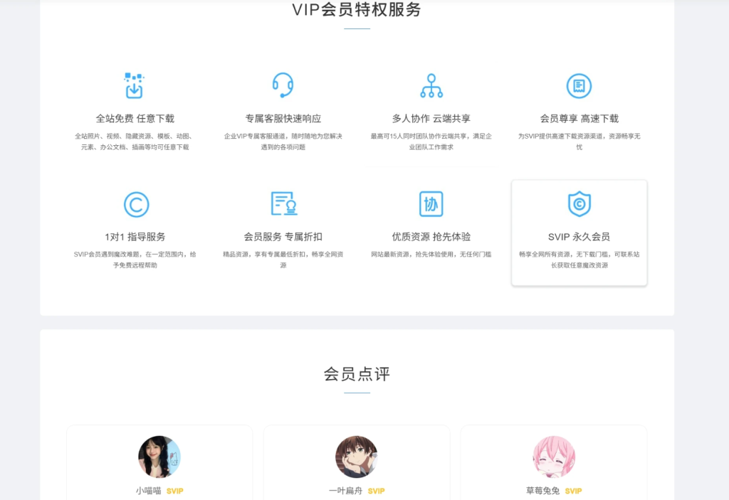 图片[3]-子比主题 – VIP会员权益页面（第一版）-龙龙资源网・免费PHP网站源码模板,插件软件资源分享平台！
