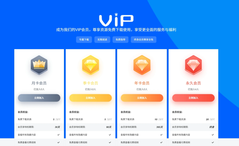子比主题 – VIP会员权益页面（第二版）-龙龙资源网・免费PHP网站源码模板,插件软件资源分享平台！