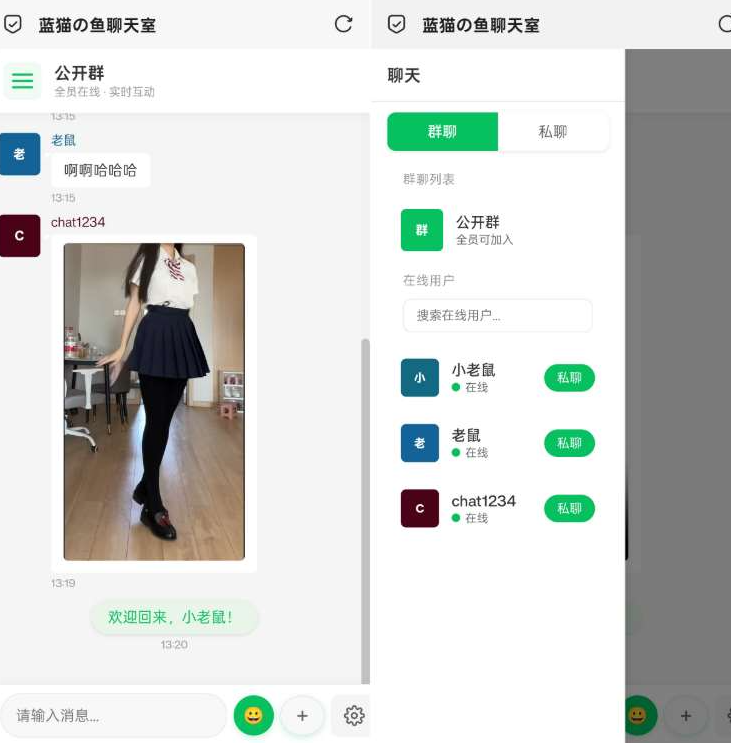 PHP实时消息聊天室源码 PHP+WebSocket-龙龙资源网・免费PHP网站源码模板,插件软件资源分享平台！